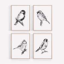Garden Birds Wall Art Prints Set Of 4