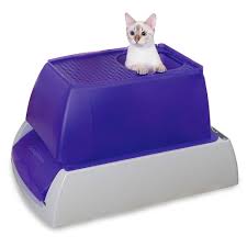 So these automatic litter boxes are the best choice for cleaning your house and keep your cat clean. Scoopfree By Petsafe Top Entry Ultra Self Cleaning Cat Litter Box With Automatic Disposable Tray Large Petco