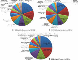 Gene Ontology Annotation Of Degs Pie Chart Showing The