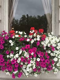 Maybe you would like to learn more about one of these? 31 Of The Best Window Boxes In London Architectural Digest