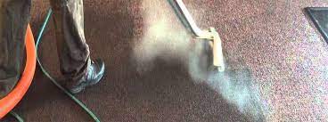 services northern beaches carpet cleaning