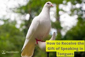 the gift of speaking in tongues
