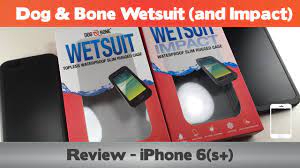 dog and bone wetsuit wetsuit impact