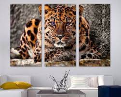 Amur Leopard Wall Art Canvas Print