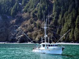 Major fish processing operations are located at sand point, king cove. Salmon Fishing In Alaska The Ultimate Guide