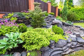 Does Rock Landscaping Attract Bugs