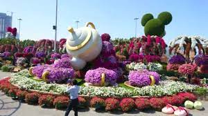 64 dubai miracle garden videos royalty