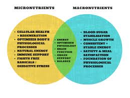 gap between macroicros