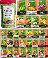 55 heirloom vegetable seeds 27 500 seeds non gmo vegetable seeds for herb vegetables and fruits for planting home garden