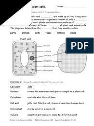 Displaying 8 worksheets for animal and plant cells ks3. Ks3 Science Revision Worksheets Cells Vacuole Cell Biology