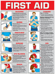 Details About First Aid Instructional Paper Chart Poster Arc Aha Guidelines Fa6a