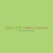 15 best seattle carpet cleaners