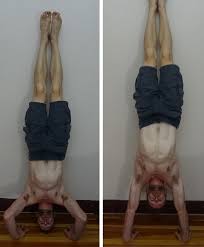 handstand push up tutorial maximum