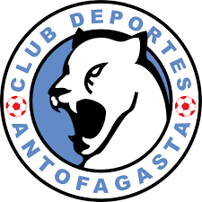 See more ideas about logo design, logos, design. Club De Deportes Nublense Logo Download Logo Icon Png Svg