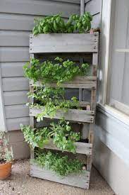 vertical vegetable gardens