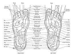 Foot Reflexology Map Dummies