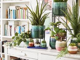 best indoor plant pots for houseplants