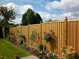 The Best Climbing Plants For Fencing