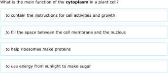 ixl identify functions of plant cell