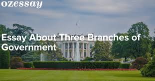 Understanding the Three Branches of Government  Executive     K  Reader