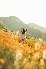 Thank you for checking out the elsinore first assembly (efa) website. Walker Canyon Lake Elsinore California Super Bloom Travelbreak
