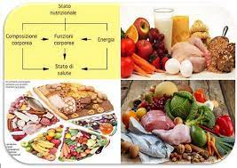I principi nutritivi, sono sostanze che si costituiscono nel nostro organismo: La Classificazione E Le Funzioni Dei Principi Nutritivi Germoglioverde