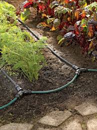 Hose Irrigation System For Garden Rows