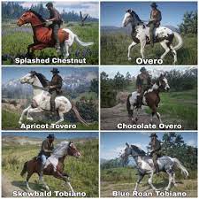 Horse Coats At Red Dead Redemption