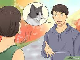 how to keep cats away 9 steps with