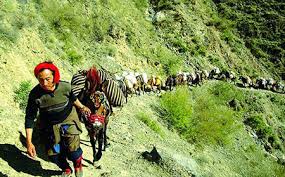 Lhasa, Lijiang to develop self-drive tourism along tea-horse road - China.org.cn