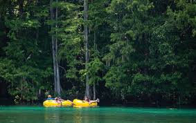 Give yourself at least six weeks. Rainbow Springs State Park Is The Fourth Largest Spring Formation In Florida Sarasota Magazine
