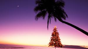 Hawaiian Christmas And New Years Words And Phrases
