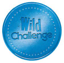 Transform Our World: RSPB Wild Challenge Award