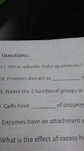 what subunits make up proteins