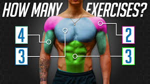 how many exercises per muscle group for
