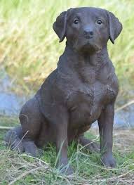 brown labrador retriever dog decor