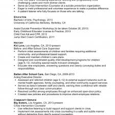 CV Templates   JobFox UK resume template volunteer work sample van meter templates