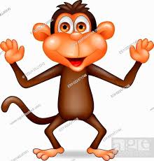 funny monkey stock photo picture and