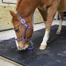 10x10 rubber horse stall mat