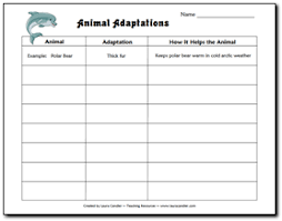 Animal Adaptations Chart Give The Students The Animals