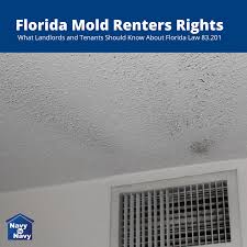 florida mold ers rights tenant