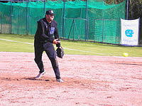 Fastpitch Softball Wikipedia