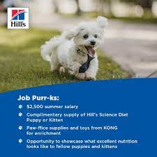 puppy earn 2500 as a hill s intern