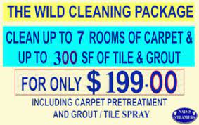 chandler carpet cleaners up to 7