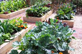 What Is The Best Season To Grow Plant Beds