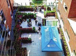 Rooftop Garden At Concord Hospital