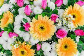 fresh flowers images free on