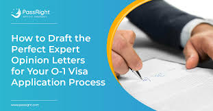 The first paragraph of your cover letter should express your interest in the advertised position, mention the source where you learned about the job and, most importantly, include the title of the job for which. How To Draft The Perfect Expert Opinion Letters For Your O 1 Visa Application Process Passright