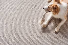 carpet floors by design