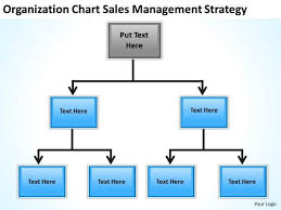 Sales Strategy Business Plan